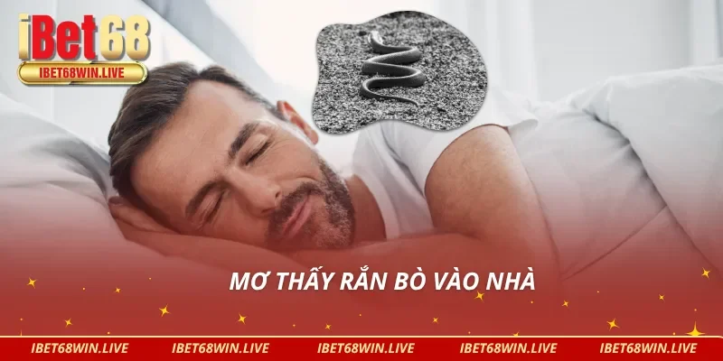 Tài lộc và vận may cùng giấc mơ thấy rắn vào nhà