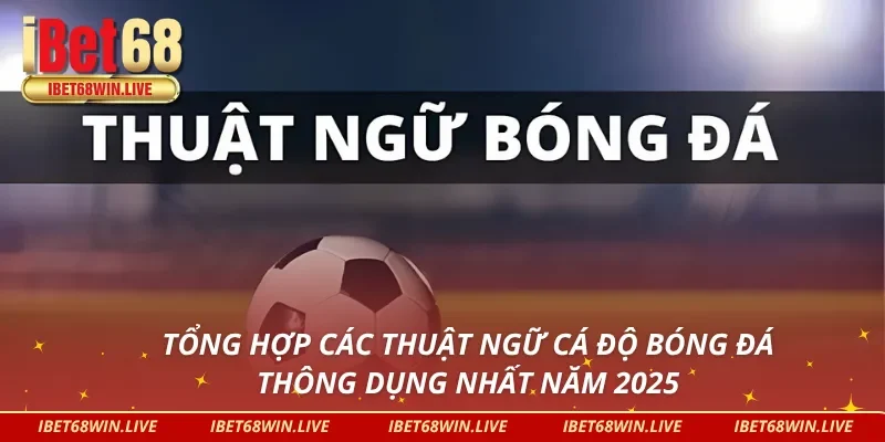 Các thuật ngữ cá độ bóng đá thông dụng nhất năm 2025