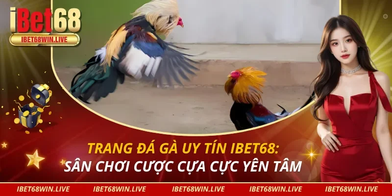 Trang Đá Gà Uy Tín